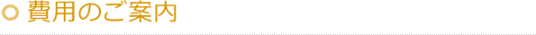 費用のご案内